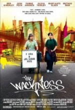 Arıza – The Wackness (2008) Film izle