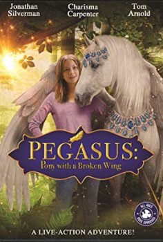 Pegasus Kırık Kanatlı Midilli – Pegasus Pony With A Broken Wing Türkçe Dublaj izle