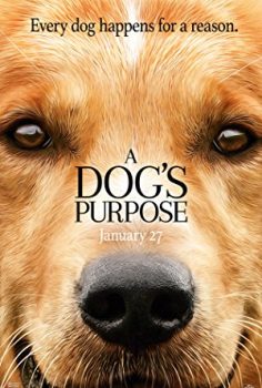 Can Dostum – A Dog’s Purpose Türkçe Dublaj izle