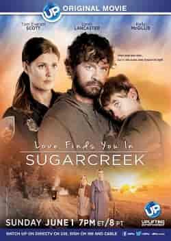 Sugarcreek’te Sevgiyi Bulmak – Love Finds You in Sugarcreek  2014 Türkçe Dublaj izle