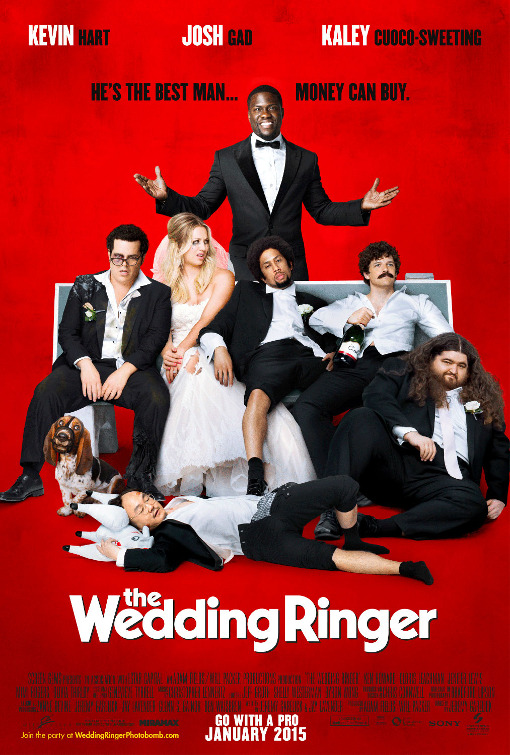 Çılgın Düğün – The Wedding Ringer 2015 Türkçe Dublaj izle