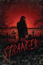 Yabancı – The Stranger Türkçe Dublaj izle